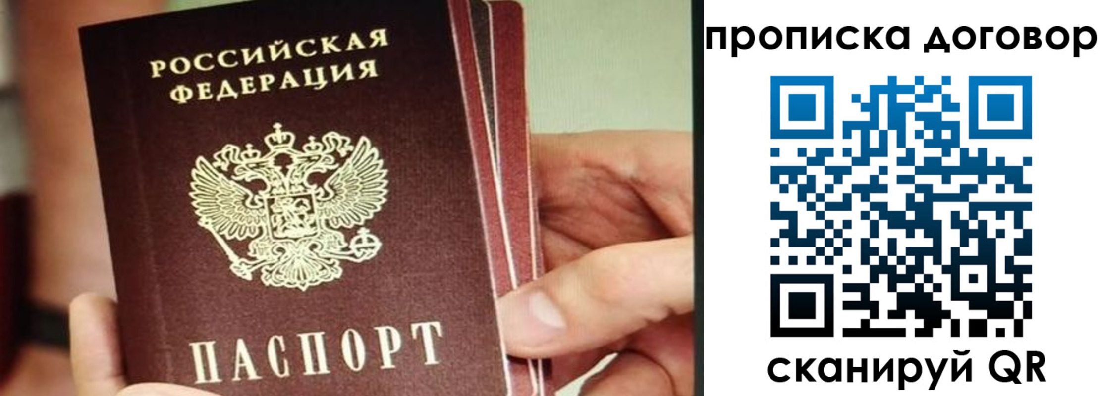 прописка в Белёве